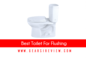 Best Toilet For Flushing