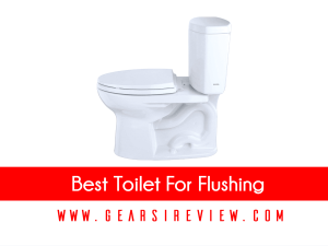 Best Toilet For Flushing