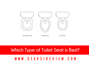 Which Type of Toilet Seat is Best